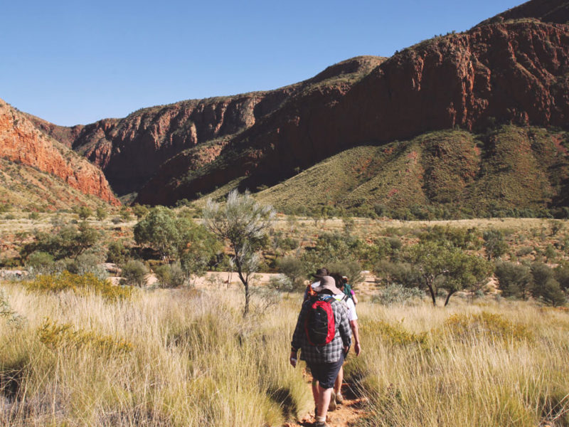 Larapinta Trail, Northern Territory