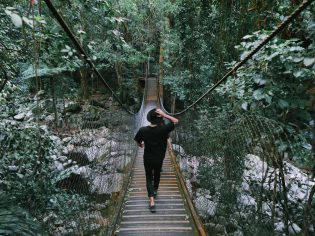 a woman enjoying the scenic walk by the Minnamurra Rainforest Centre in Budderoo National Park