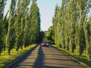 Alfa Romeo driving down country road, Southern Highlands