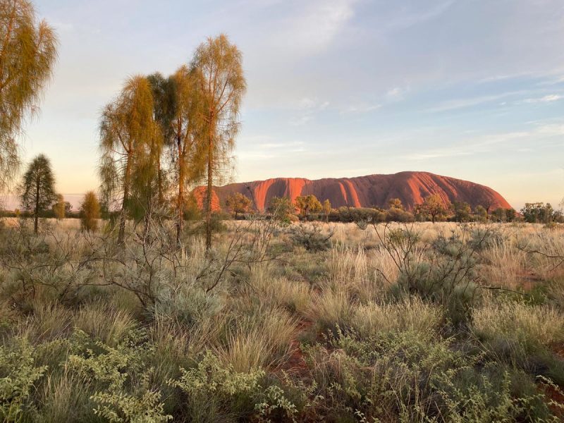 Uluru at sunrise