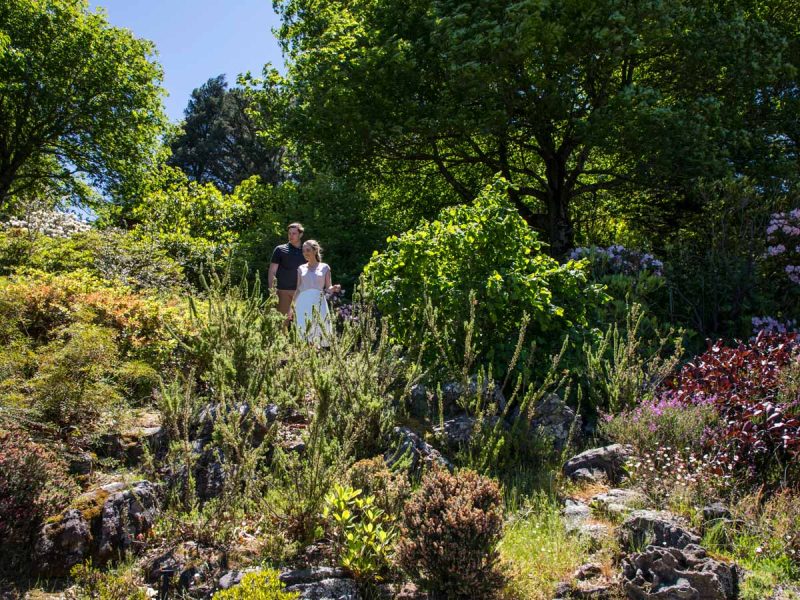 Everglades gardens Leura