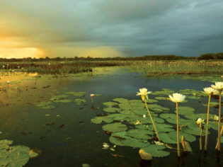 landscape kakadu nothern territory holdays attractions culture outback