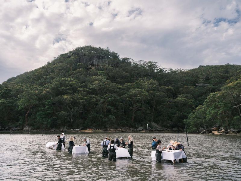 The Sydney Oyster Farm Tour in Central Coast, Australia