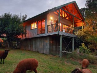 Wild Lime Cooking School offers its students accommodation in a Treehouse cottage