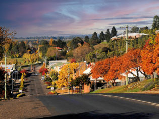 Derby St, Walcha in Autumn